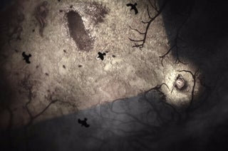 经过三年的抢先体验，恐怖类 Roguelike 游戏《Darkwood》终于正式发布